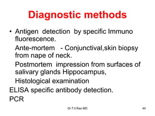 Diagnostic methods
• Antigen detection by specific Immuno
fluorescence.
Ante-mortem - Conjunctival,skin biopsy
from nape of neck.
Postmortem impression from surfaces of
salivary glands Hippocampus,
Histological examination
ELISA specific antibody detection.
PCR
Dr.T.V.Rao MD 44
 