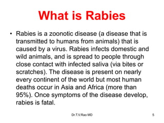 What is Rabies
• Rabies is a zoonotic disease (a disease that is
transmitted to humans from animals) that is
caused by a virus. Rabies infects domestic and
wild animals, and is spread to people through
close contact with infected saliva (via bites or
scratches). The disease is present on nearly
every continent of the world but most human
deaths occur in Asia and Africa (more than
95%). Once symptoms of the disease develop,
rabies is fatal.
Dr.T.V.Rao MD 5
 