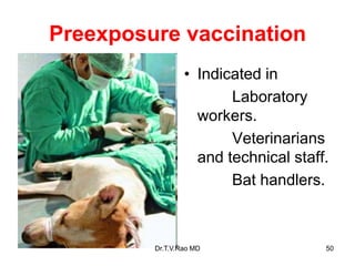 Preexposure vaccination
• Indicated in
Laboratory
workers.
Veterinarians
and technical staff.
Bat handlers.
Dr.T.V.Rao MD 50
 