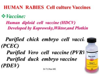 HUMAN RABIES Cell culture Vaccines
Vaccine:
Human diploid cell vaccine (HDCV)
Developed by Koprowsky,Wiktor,and Plotkin
Purified chick embryo cell vaccine
(PCEC)
Purified Vero cell vaccine (PVRV)
Purified duck embryo vaccine
(PDEV) Dr.T.V.Rao MD 55
 