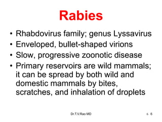6
Rabies
• Rhabdovirus family; genus Lyssavirus
• Enveloped, bullet-shaped virions
• Slow, progressive zoonotic disease
• Primary reservoirs are wild mammals;
it can be spread by both wild and
domestic mammals by bites,
scratches, and inhalation of droplets
Dr.T.V.Rao MD 6
 