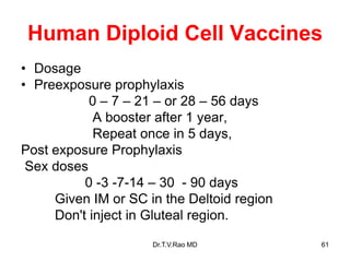 Human Diploid Cell Vaccines
• Dosage
• Preexposure prophylaxis
0 – 7 – 21 – or 28 – 56 days
A booster after 1 year,
Repeat once in 5 days,
Post exposure Prophylaxis
Sex doses
0 -3 -7-14 – 30 - 90 days
Given IM or SC in the Deltoid region
Don't inject in Gluteal region.
Dr.T.V.Rao MD 61
 