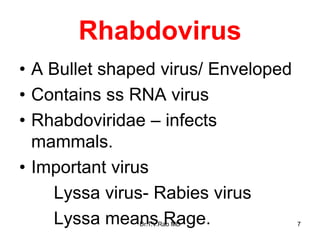 Rhabdovirus
• A Bullet shaped virus/ Enveloped
• Contains ss RNA virus
• Rhabdoviridae – infects
mammals.
• Important virus
Lyssa virus- Rabies virus
Lyssa means Rage.
Dr.T.V.Rao MD 7
 