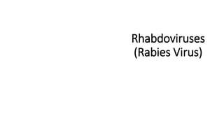 Rhabdo Viruses (Rabies virus) | PDF