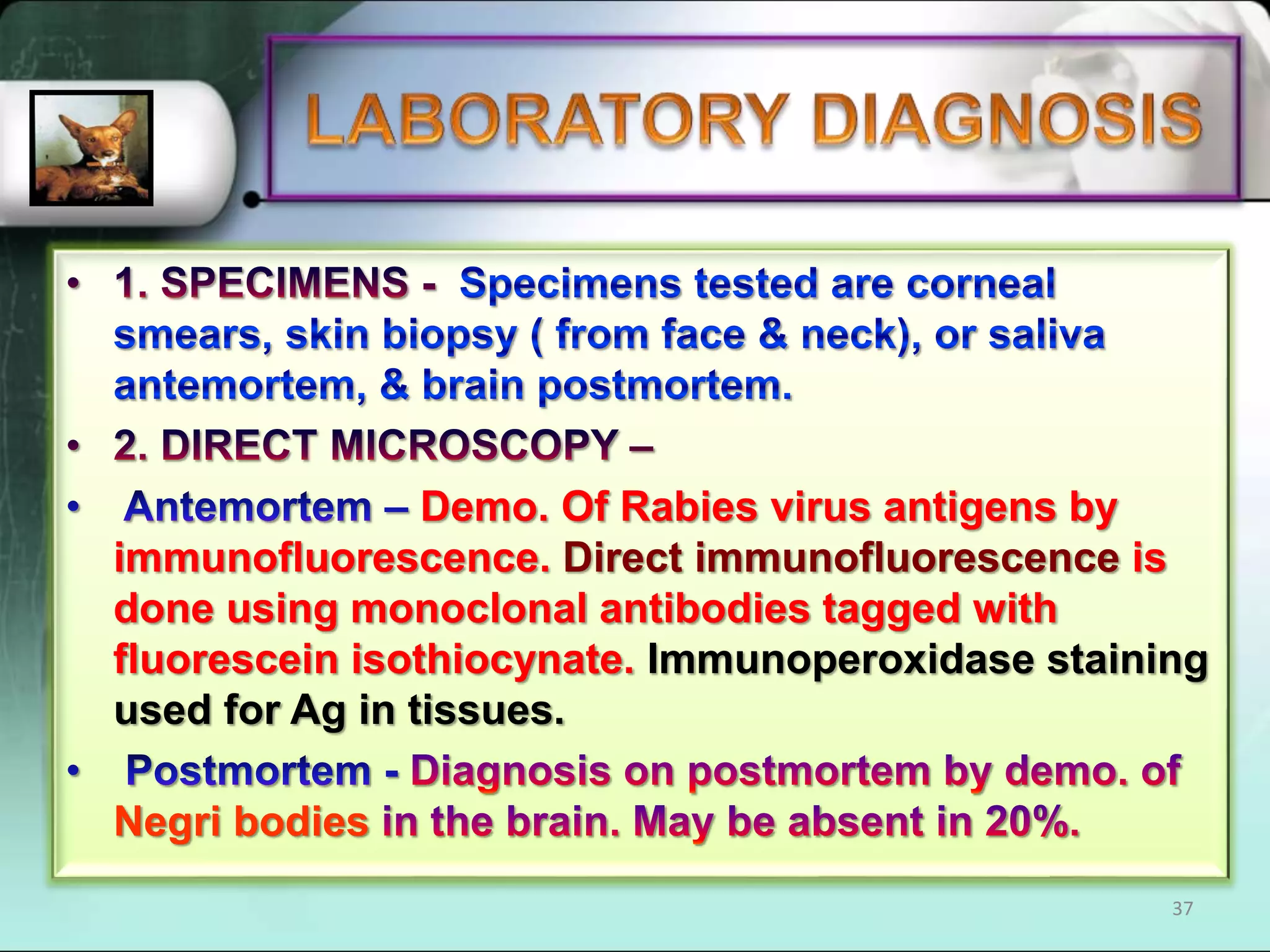 Rhabdovirus lecture | PPTX