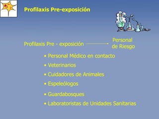 Profilaxis Pre - exposición Personal de Riesgo Profilaxis Pre-exposición •  Personal Médico en contacto •  Veterinarios •  Cuidadores de Animales •  Espeleólogos •  Guardabosques •  Laboratoristas de Unidades Sanitarias 