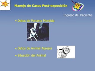 Manejo de Casos Post-exposición Ingreso del Paciente •  Datos de Animal Agresor •  Situación del Animal •  Datos de Persona Mordida 
