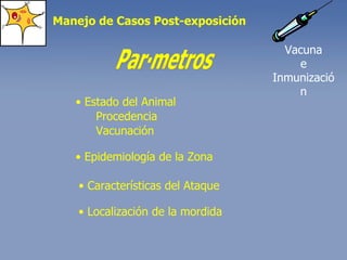 Parámetros •  Epidemiología de la Zona •  Características del Ataque •  Localización de la mordida Manejo de Casos Post-exposición •  Estado del Animal Procedencia Vacunación Vacuna e Inmunización 