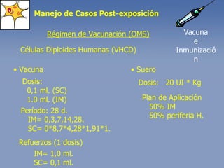 Régimen de Vacunación (OMS) Células Diploides Humanas (VHCD) •  Vacuna •  Suero Dosis: 0,1 ml. (SC) 1.0 ml. (IM) Período: 28 d. IM= 0,3,7,14,28. SC= 0*8,7*4,28*1,91*1. Refuerzos (1 dosis) IM= 1,0 ml. SC= 0,1 ml. Dosis:  20 UI * Kg Plan de Aplicación 50% IM 50% periferia H. Manejo de Casos Post-exposición Vacuna e Inmunización 