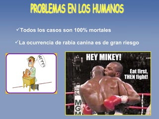 PROBLEMAS EN LOS HUMANOS Todos los casos son 100% mortales La ocurrencia de rabia canina es de gran riesgo 