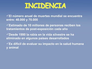 INCIDENCIA El número anual de muertes mundial se encuentra entre: 40.000 y 70.000  Estimado de 10 millones de personas reciben los tratamientos de post-exposición cada año  Desde 1990 la rabia en la vida silvestre se ha eliminado en algunos países desarrollados Es difícil de evaluar su impacto en la salud humana y animal  