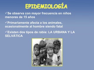 EPIDEMIOLOGÍA Se observa con mayor frecuencia en niños menores de 15 años Primariamente afecta a los animales, ocasionalmente al hombre siendo fatal  Existen dos tipos de rabia: LA URBANA Y LA SELVÁTICA 