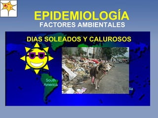 EPIDEMIOLOGÍA FACTORES AMBIENTALES DIAS SOLEADOS Y CALUROSOS 