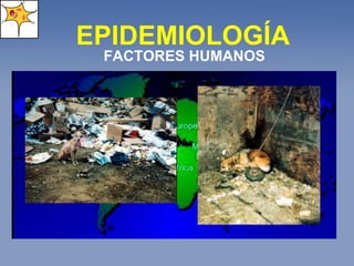EPIDEMIOLOGÍA FACTORES HUMANOS 