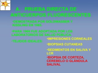 PRUEBA DIRECTA DE ANTICUERPOS FLUORESCENTES DEMOSTRADA POR GOLDWASSER Y KISSLING EN 1985. PARA 1969 FUE ADOPTADA POR LOS LABORATORIOS DE SALUD PÚBLICA. TEJIDOS IDEALES: IMPRESIONES CORNEALES BIOPSIAS CUTANEAS SEDIMENTOS EN SALIVA Y LCR BIOPSIA DE CORTEZA, CEREBELO O GLÁNDULA SALIVAL 