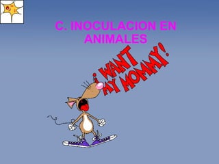 C. INOCULACION EN ANIMALES 