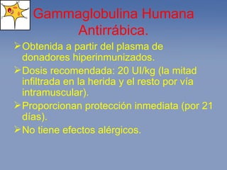 Gammaglobulina Humana Antirrábica. Obtenida a partir del plasma de donadores hiperinmunizados. Dosis recomendada: 20 UI/kg (la mitad infiltrada en la herida y el resto por vía intramuscular). Proporcionan protección inmediata (por 21 días). No tiene efectos alérgicos. 