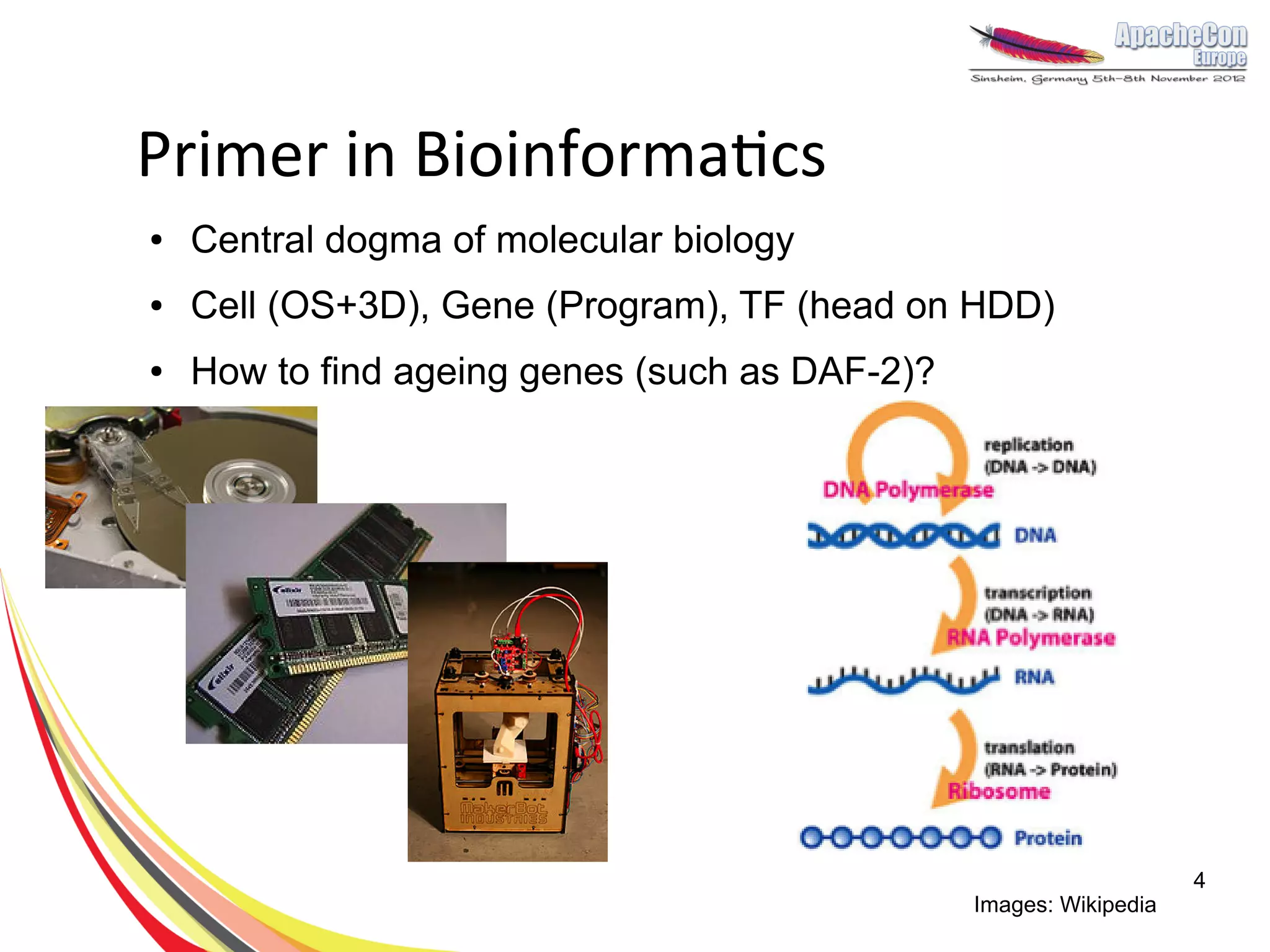 Primer in Bioinformatics
●   Central dogma of molecular biology
●   Cell (OS+3D), Gene (Program), TF (head on HDD)
●   How to find ageing genes (such as DAF-2)?




                                                                    4
                                                Images: Wikipedia
 