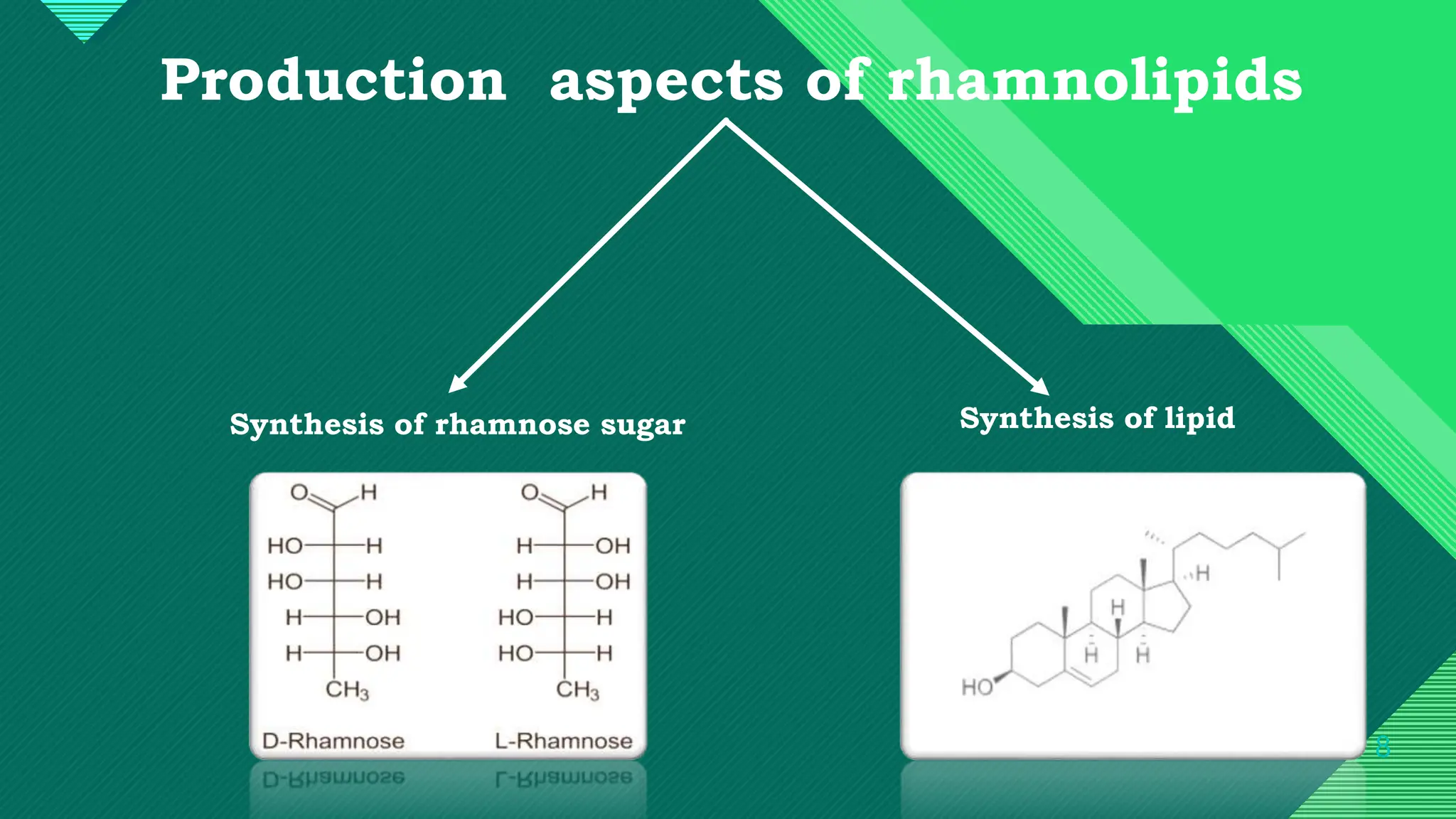 Washing Using Rhamnolipid Rhamnolipids in plant disease control.pptx