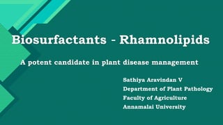 Click to edit Master title style
1
Biosurfactants - Rhamnolipids
A potent candidate in plant disease management
Sathiya Aravindan V
Department of Plant Pathology
Faculty of Agriculture
Annamalai University
 