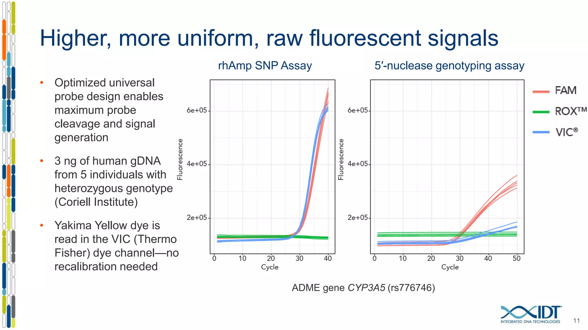 ADME gene CYP3A5 (rs776746)
rhAmp SNP Assay 5′-nuclease genotyping assay
Higher, more uniform, raw fluorescent signals
• Optimized universal
probe design enables
maximum probe
cleavage and signal
generation
• 3 ng of human gDNA
from 5 individuals with
heterozygous genotype
(Coriell Institute)
• Yakima Yellow dye is
read in the VIC (Thermo
Fisher) dye channel—no
recalibration needed
11
 
