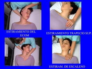 ESTIRAMIENTO DEL  ECOM ESTIRAMIENTO TRAPECIO SUP. ESTIRAM. DE ESCALENO 