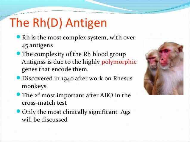 Rh Blood Group Ss