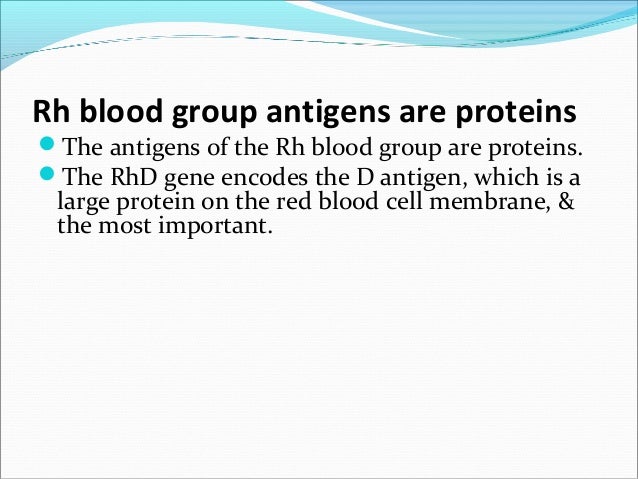 rh blood group ss