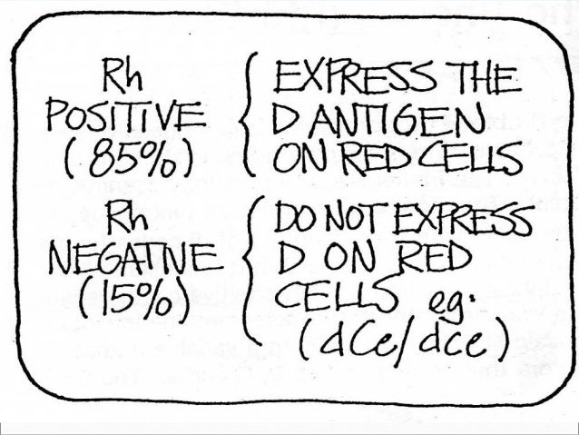 rh blood group ss