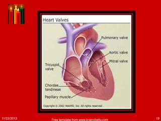 Patofisiologi Rhd Rheumatic heart disease and valve diseases | PPTX