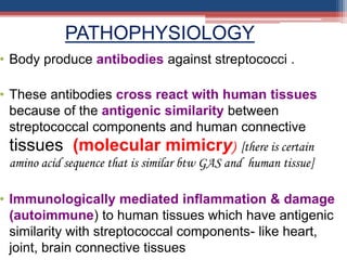 • Body produce antibodies against streptococci .
• These antibodies cross react with human tissues
because of the antigenic similarity between
streptococcal components and human connective
tissues (molecular mimicry) [there is certain
amino acid sequence that is similar btw GAS and human tissue]
• Immunologically mediated inflammation & damage
(autoimmune) to human tissues which have antigenic
similarity with streptococcal components- like heart,
joint, brain connective tissues
PATHOPHYSIOLOGY
 