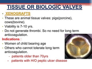 • These are animal tissue valves: pigs(porcine),
cows(bovine).
• Viability is 7-10 yrs.
• Do not generate thrombi. So no need for long term
anticoagulation.
Indications :
• Women of child bearing age
• Others who cannot tolerate long term
anticoagulation.
- patients older than 70yrs
- patients with H/O peptic ulcer disease
 