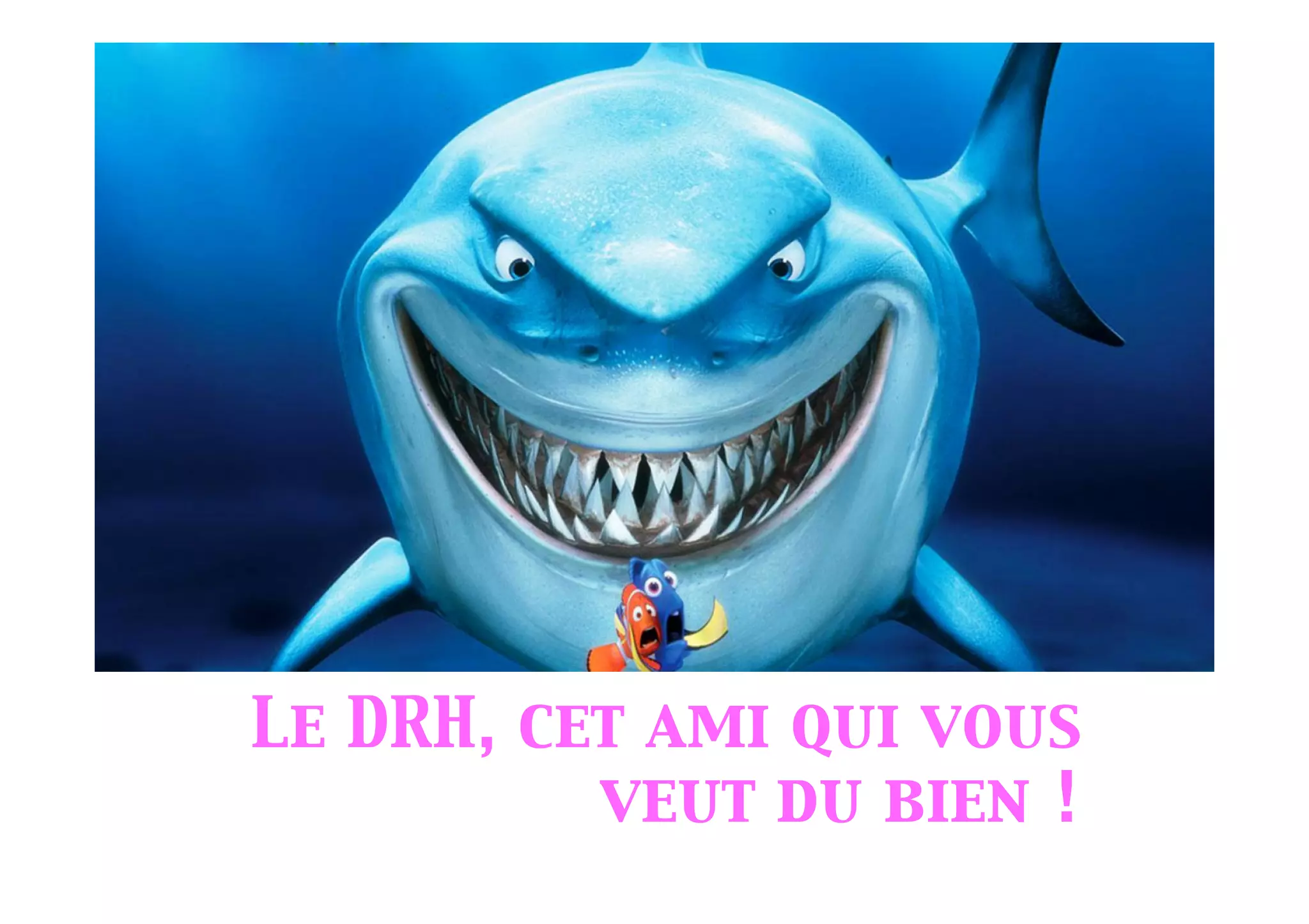 Le DRH, cet ami qui vous
veut du bien !