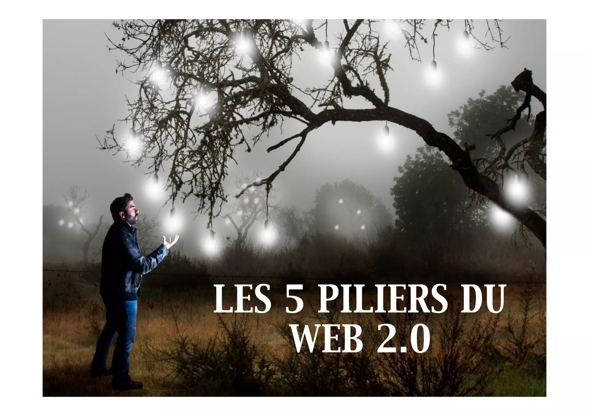 OUVERTURE
LES 5 PILIERS DU
WEB 2.0