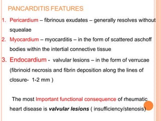 1. Pericardium – fibrinous exudates – generally resolves without
squealae
2. Myocardium – myocarditis – in the form of scattered aschoff
bodies within the intertial connective tissue
3. Endocardium - valvular lesions – in the form of verrucae
(fibrinoid necrosis and fibrin deposition along the lines of
closure- 1-2 mm )
The most Important functional consequence of rheumatic
heart disease is valvular lesions ( insufficiency/stenosis)
PANCARDITIS FEATURES
 