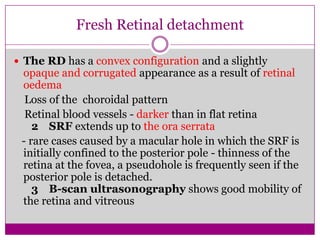 Fresh Retinal detachment
 The RD has a convex configuration and a slightly

opaque and corrugated appearance as a result of retinal
oedema
Loss of the choroidal pattern
Retinal blood vessels - darker than in flat retina
2 SRF extends up to the ora serrata
- rare cases caused by a macular hole in which the SRF is
initially confined to the posterior pole - thinness of the
retina at the fovea, a pseudohole is frequently seen if the
posterior pole is detached.
3 B-scan ultrasonography shows good mobility of
the retina and vitreous

 