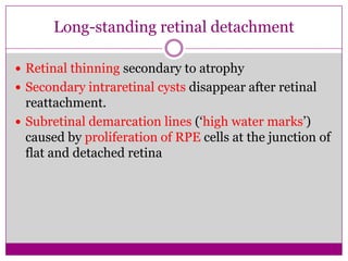 Long-standing retinal detachment
 Retinal thinning secondary to atrophy
 Secondary intraretinal cysts disappear after retinal

reattachment.
 Subretinal demarcation lines (‘high water marks’)
caused by proliferation of RPE cells at the junction of
flat and detached retina

 