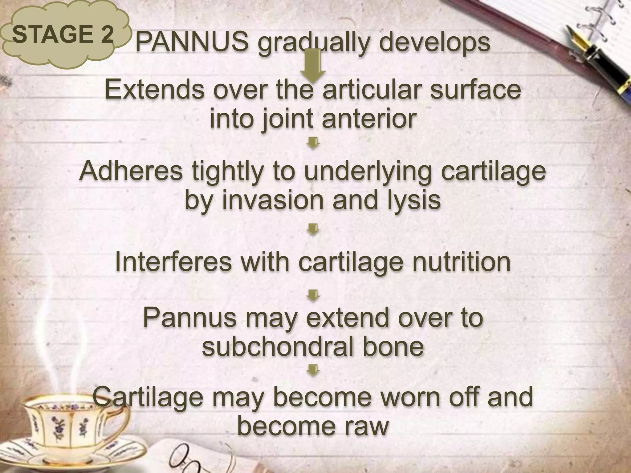 PANNUS gradually develops
Extends over the articular surface
into joint anterior
Adheres tightly to underlying cartilage
by invasion and lysis
Interferes with cartilage nutrition
Pannus may extend over to
subchondral bone
Cartilage may become worn off and
become raw
STAGE 2
 
