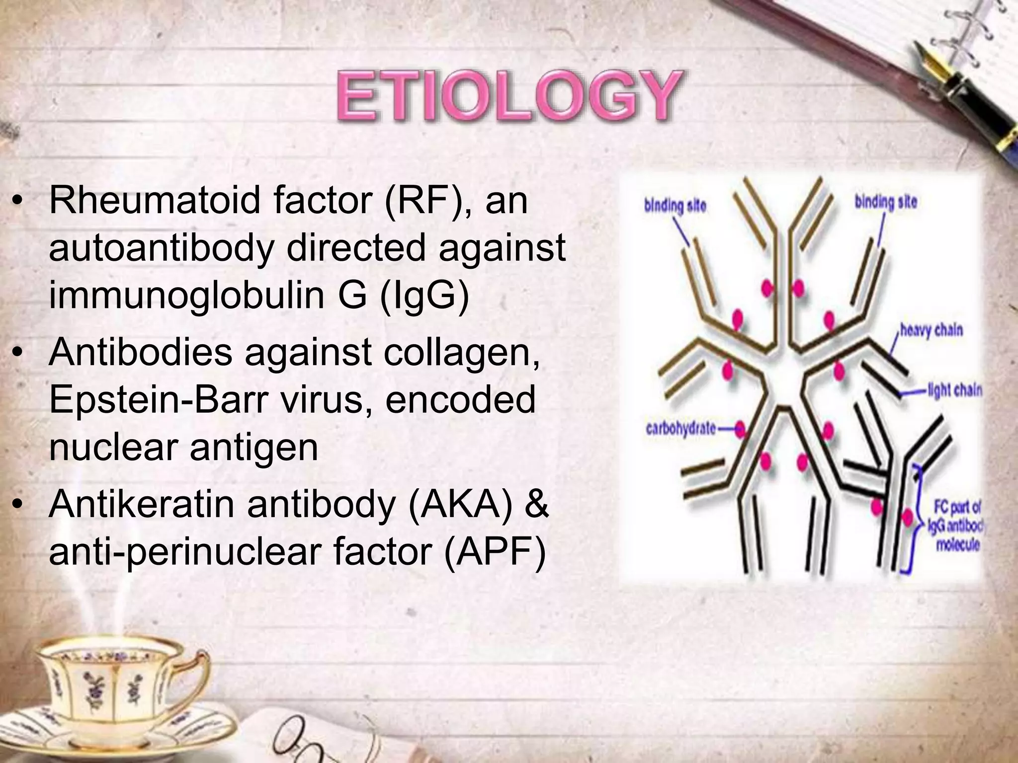 • Rheumatoid factor (RF), an
autoantibody directed against
immunoglobulin G (IgG)
• Antibodies against collagen,
Epstein-Barr virus, encoded
nuclear antigen
• Antikeratin antibody (AKA) &
anti-perinuclear factor (APF)
 