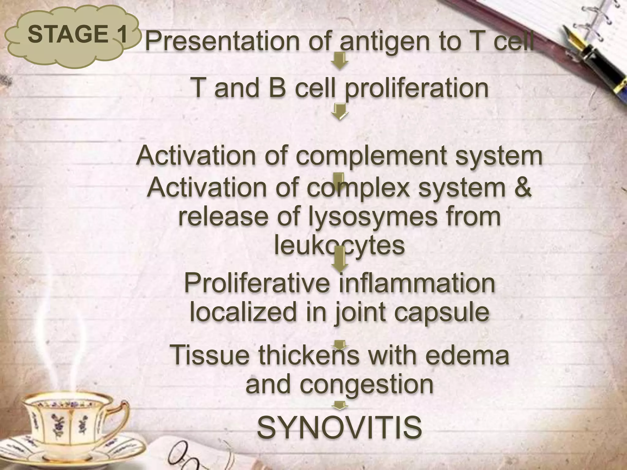 Presentation of antigen to T cell
T and B cell proliferation
Activation of complement system
Activation of complex system &
release of lysosymes from
leukocytes
Proliferative inflammation
localized in joint capsule
Tissue thickens with edema
and congestion
SYNOVITIS
STAGE 1
 