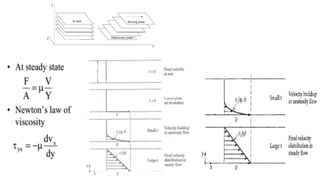 Rheological properties of food Materials | PDF
