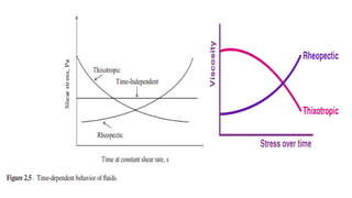 Rheological properties of food Materials | PDF