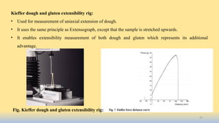 Comprehensive Rheological Testing Methods for Assessing Dough Quality ...