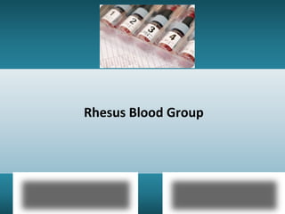 Rhesus | PPT