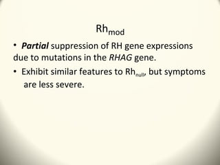 Rhesus | PPT