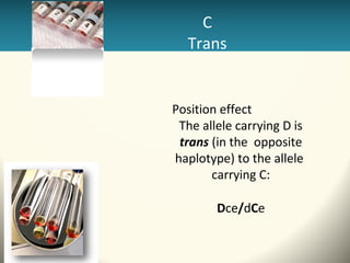 Rhesus | PPT