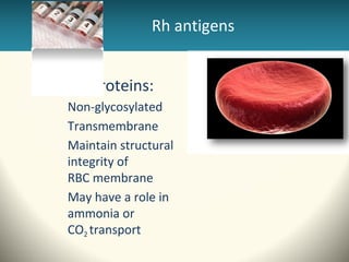 Rhesus | PPT
