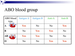 Rhesus Isoimmunisation | PPT