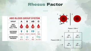 Rhesus Isoimmunization and its Management | PDF