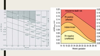 Management of rhesus negative pregnant woman | PPTX